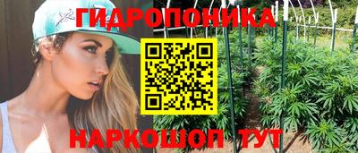 гидра Гусь-Хрустальный