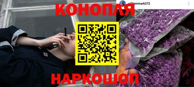 гидра Гусь-Хрустальный