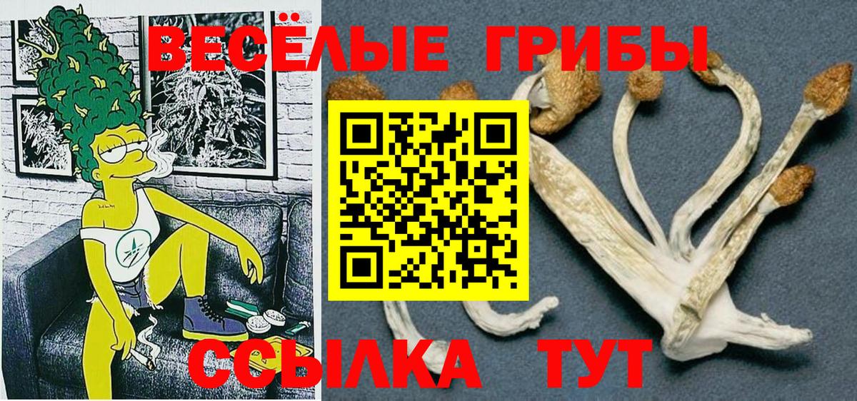 Псилоцибиновые грибы прущие грибы  Вход с VPN  Знаменск 
