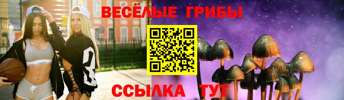 Псилоцибиновые грибы Magic Shrooms Знаменск